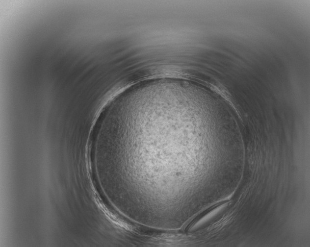 X0000060240987200511041252