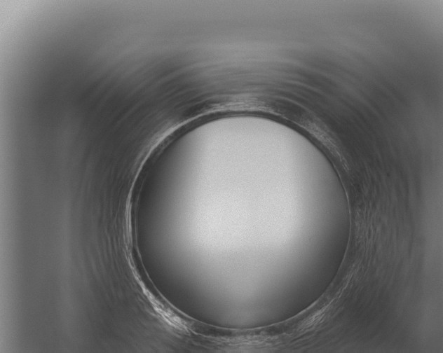 X0000060240988200511041252