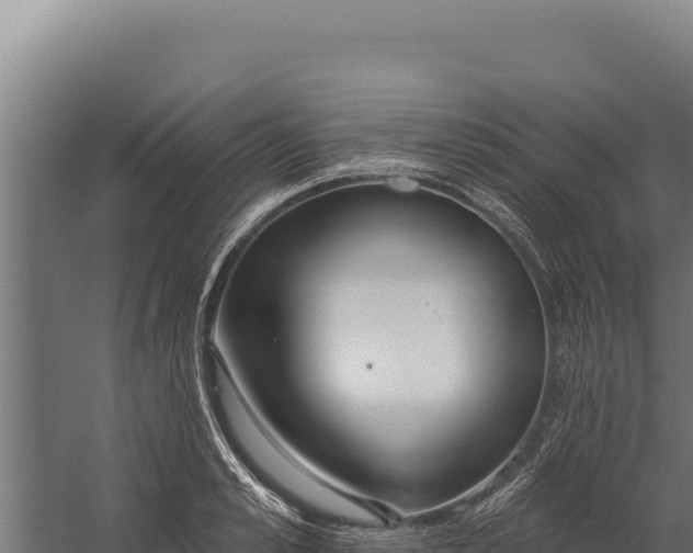 X0000060240989200511041252