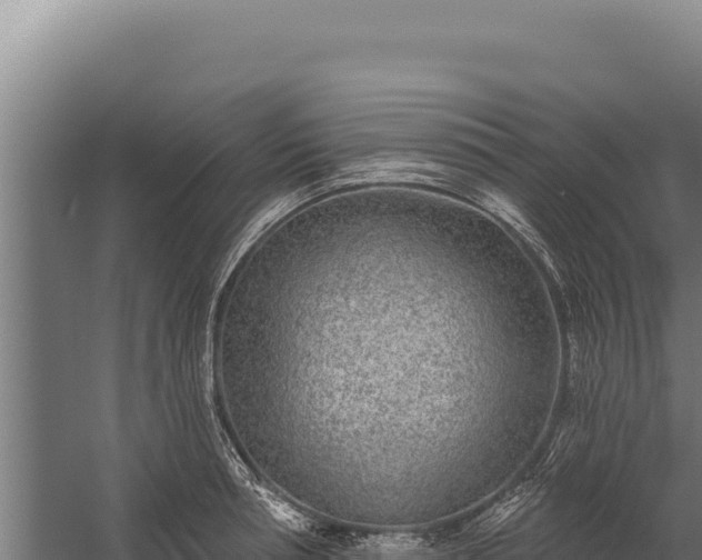 X0000060240994200511041252