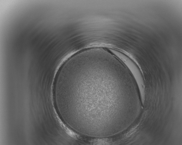 X0000060240995200511041252