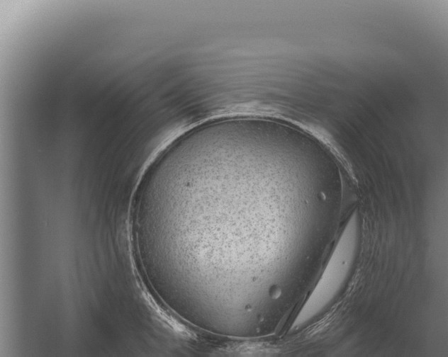 X0000060240998200511041252