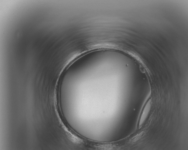 X0000060240999200511041252