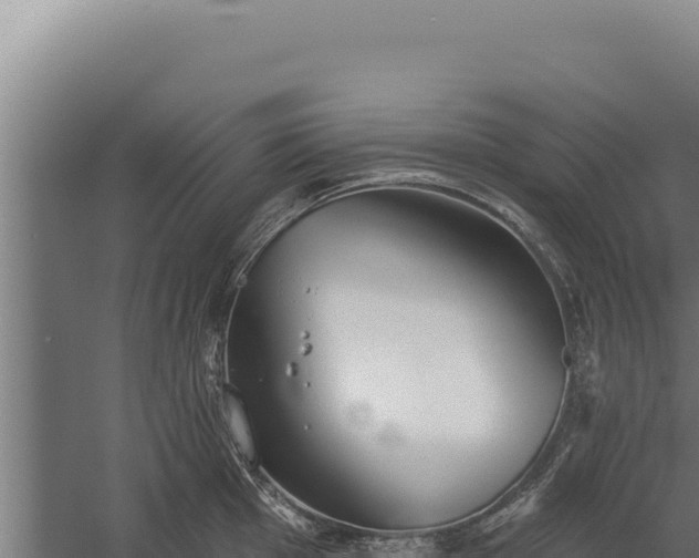 X0000060241001200511041252