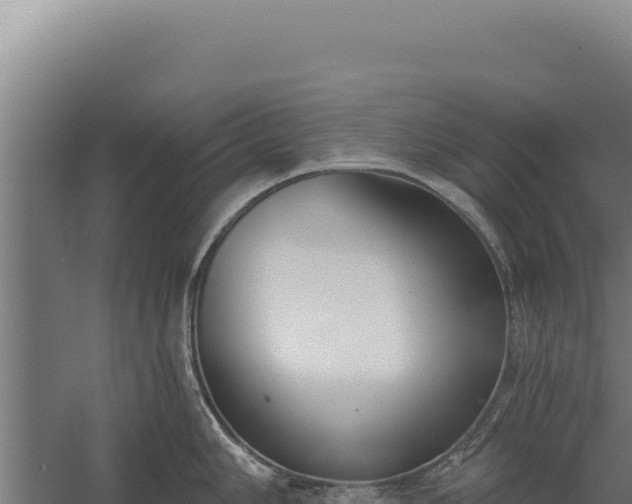 X0000060241006200511041252