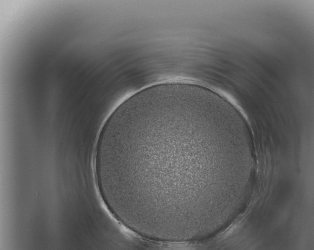 X0000060241007200511041252