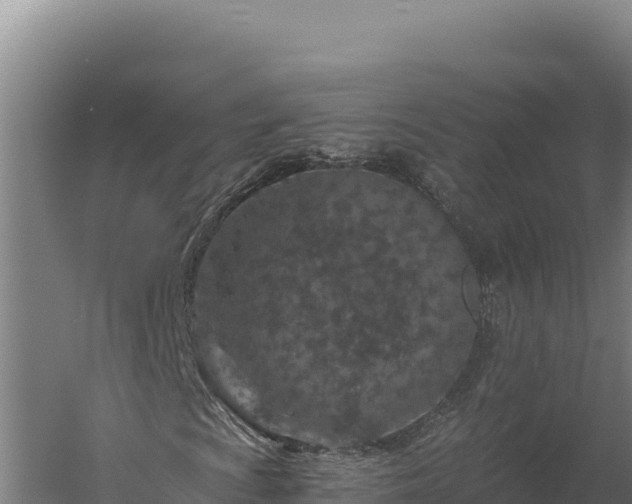 X0000060241009200511041251