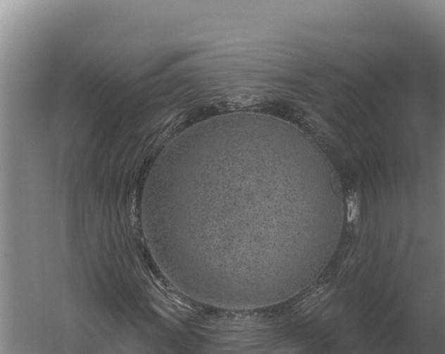 X0000060241011200511041251