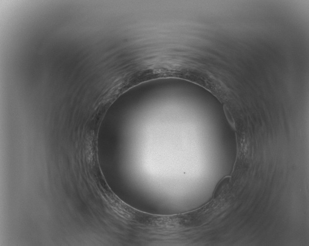 X0000060241012200511041251