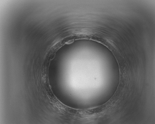 X0000060241015200511041251