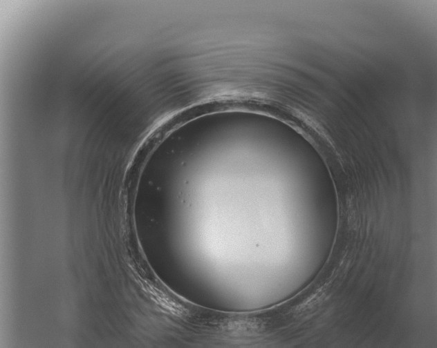 X0000060241021200511041251