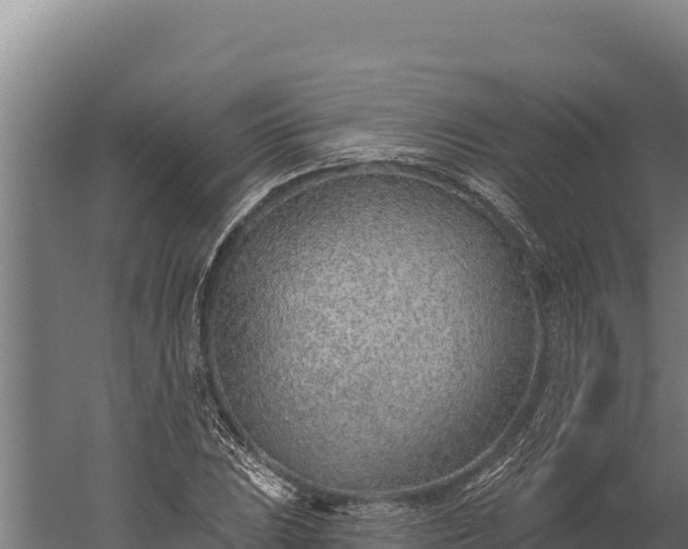 X0000060241023200511041251