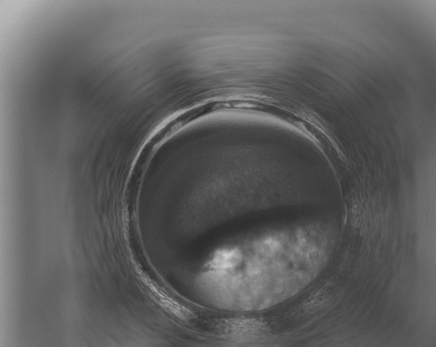 X0000060241024200511041251