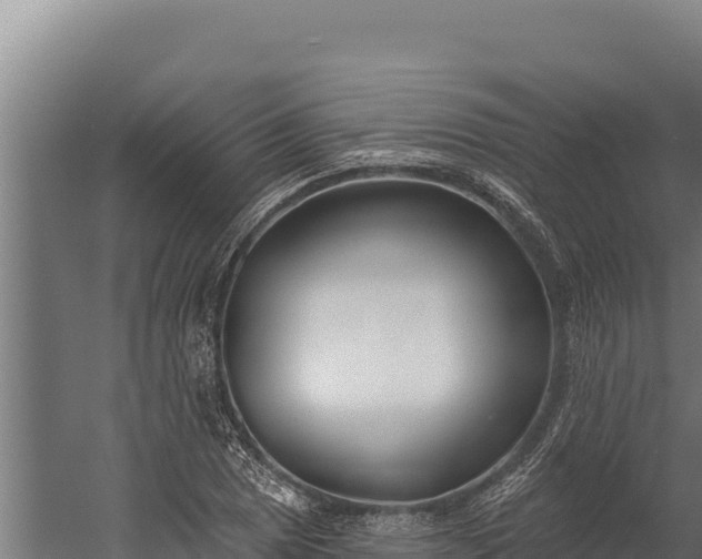 X0000060241025200511041251