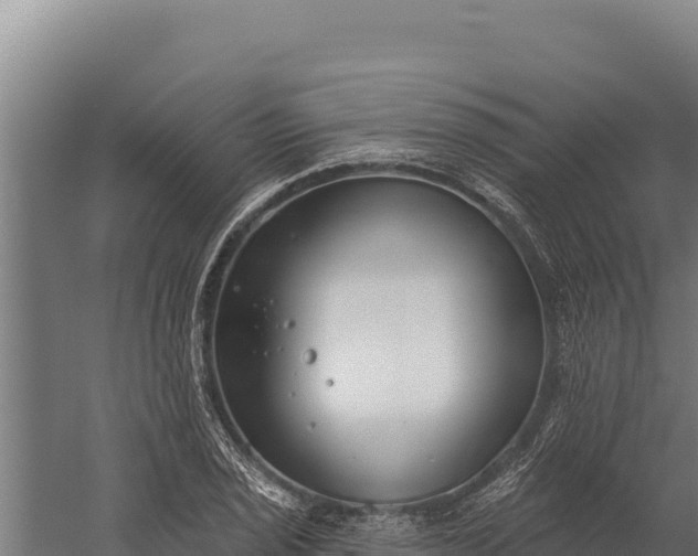 X0000060241029200511041251