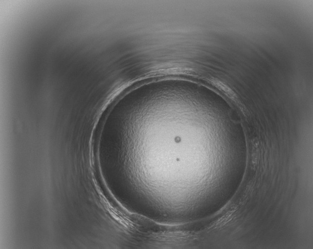 X0000060241031200511041251