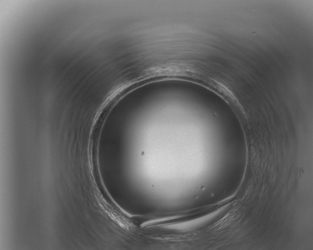 X0000060241035200511041251