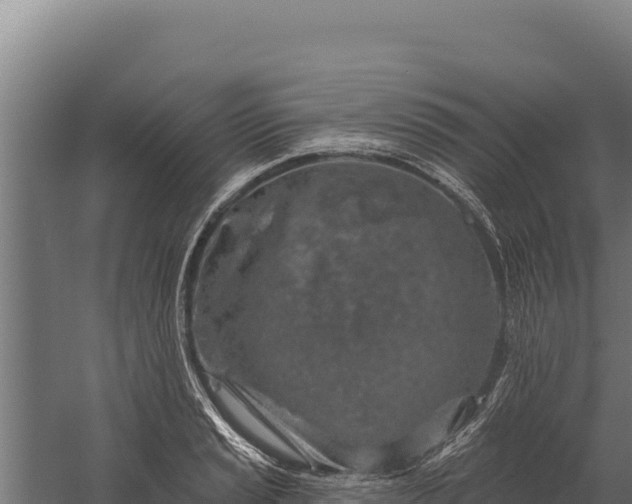 X0000060241037200511041251