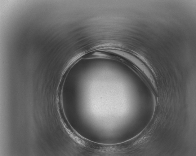 X0000060241042200511041251