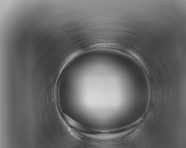 X0000060241050200511041251