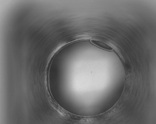 X0000060241051200511041251