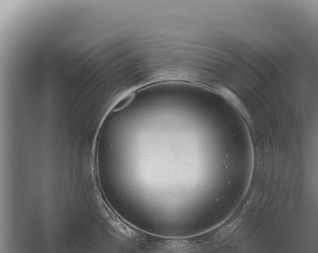 X0000060241052200511041252