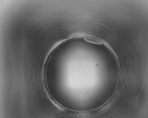 X0000060241053200511041252