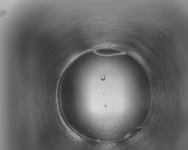 X0000060241055200511041252