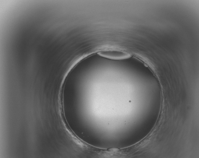 X0000060241056200511041252