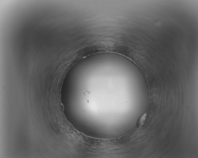 X0000060241057200511041251