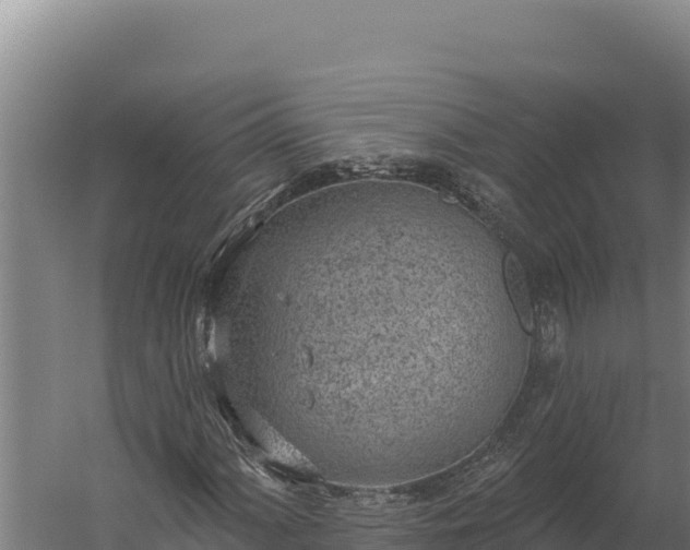 X0000060241060200511041251