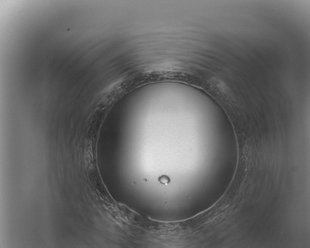 X0000060241062200511041251