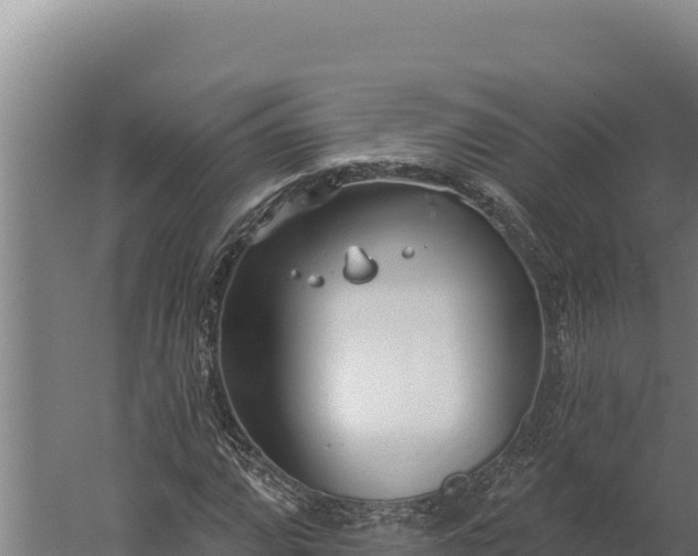 X0000060241064200511041251