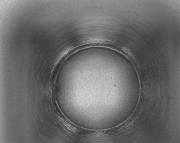 X0000060241067200511041251