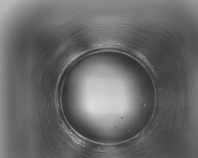 X0000060241072200511041251