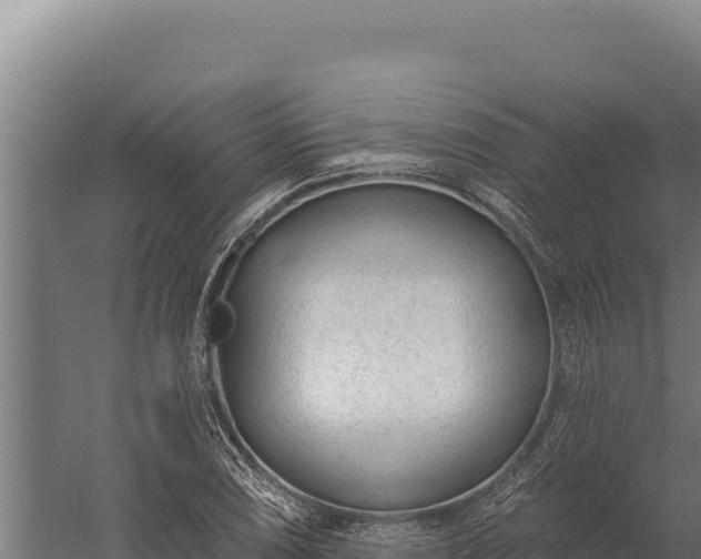 X0000060241074200511041250