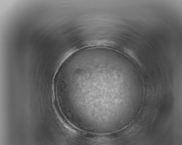 X0000060241079200511041250