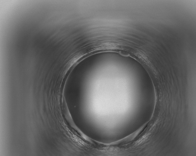 X0000060241081200511041250