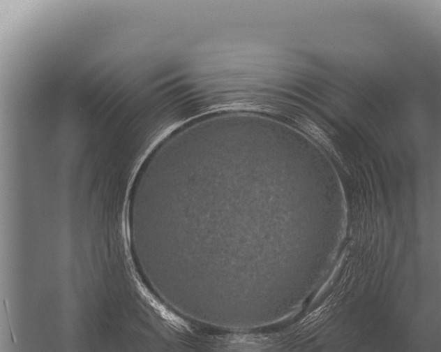 X0000060241084200511041250