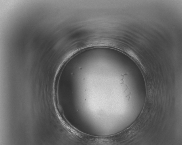 X0000060241088200511041250