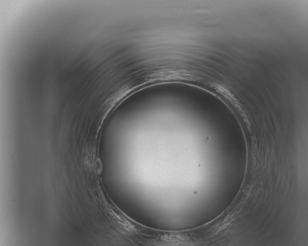 X0000060241089200511041250