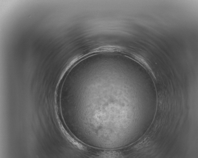 X0000060241091200511041250