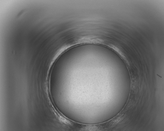 X0000060241094200511041250