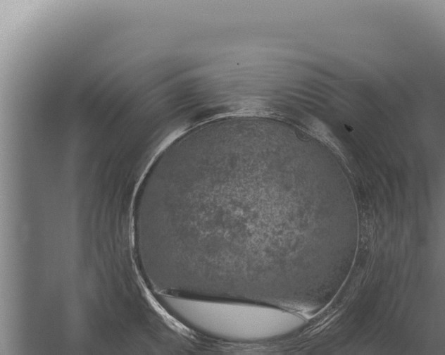 X0000060241095200511041250