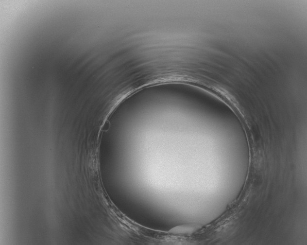 X0000060241097200511041250