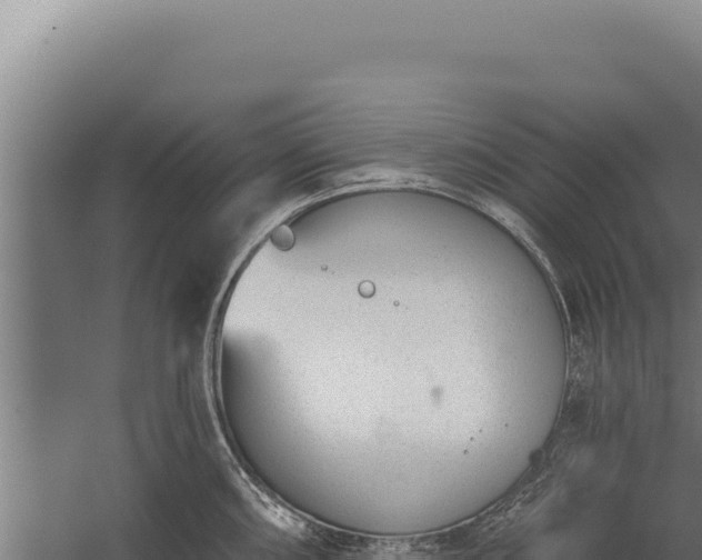 X0000060241098200511041250