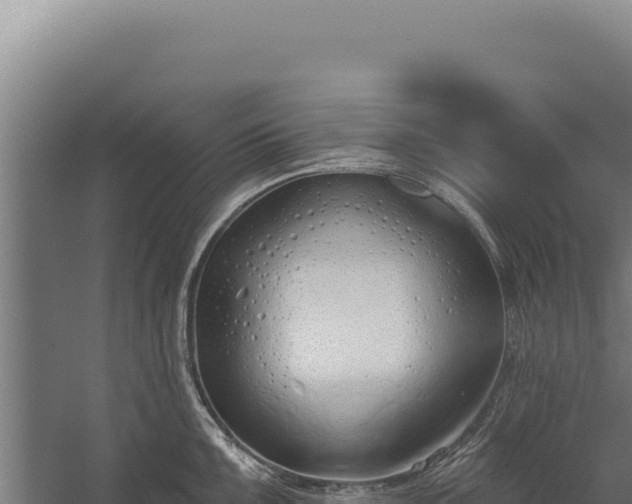 X0000060241099200511041250