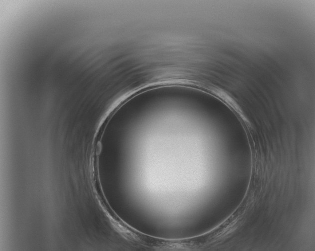 X0000060241101200511041250