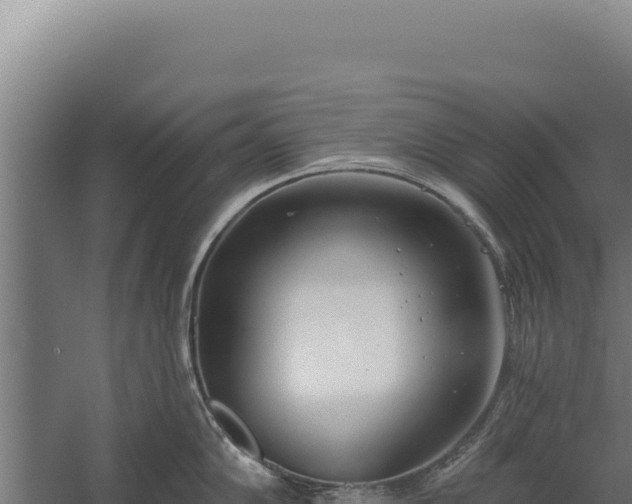 X0000060241102200511041250