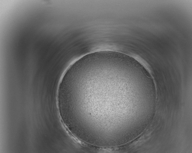 X0000060241104200511041250